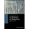A History of Babylon, 2200 BC - AD 75 - Paperback
