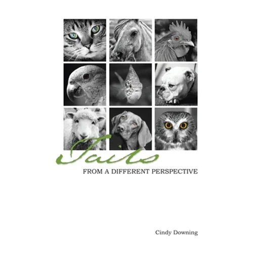 Tails from a Different Perspective - Paperback
