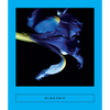 Elektrik: Caribbean Writing - Paperback