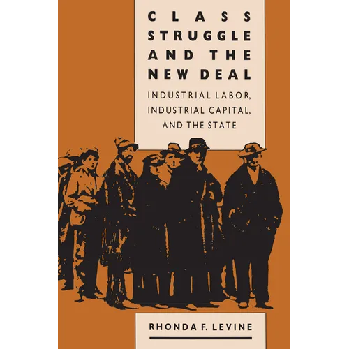 Class Struggle and the New Deal: Industrial Labor, Industrial Capital, and the State - Paperback
