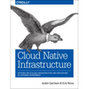 Cloud Native Infrastructure: Patterns for Scalable Infrastructure and Applications in a Dynamic Environment - Paperback