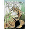 Form and Function in the Honey Bee - Paperback