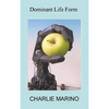 Dominant Life Form: Off the grid hackers labor to create intelligent robots on Earth - Hardcover