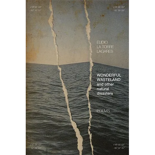 Wonderful Wasteland and Other Natural Disasters: Poems - Paperback