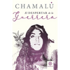 El Despertar de la Guerrera - Paperback