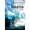 Praying for Your Addicted Loved One: 90 in 90 - Paperback