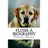 Flush: A Biography Virginia Woolf - Paperback