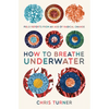 How to Breathe Underwater: Field Reports from an Age of Radical Change - Paperback
