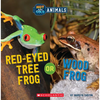 Red-Eyed Tree Frog or Wood Frog (Wild World: Hot and Cold Animals) - Paperback
