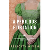 A Perilous Flirtation - Paperback