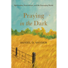 Praying in the Dark: Spirituality, Nonviolence, and the Emerging World - Paperback