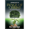 Growing Into The Image of Christ: A Biblical Perspective on Spiritual Maturity - Paperback