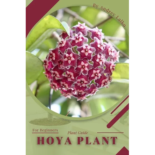 Hoya plant: Plant Guide - Paperback
