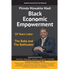 Black Economic Empowerment: 20 Years Later - The Baby and the Bathwater - Paperback