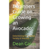 Beginners Guide on Growing an Avocado: Determining the Suitable Variety of Avocado - Paperback