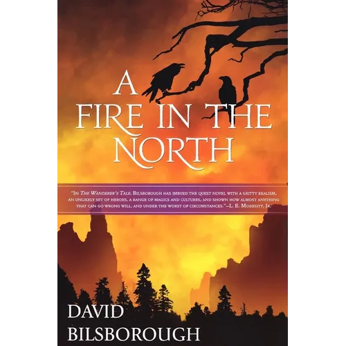 A Fire in the North: Book 2 of the Annals of Lindormyn - Paperback