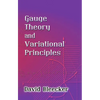 Gauge Theory and Variational Principles - Paperback
