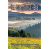 I'll Meet You There: Living beyond all ideas of right and wrong - Paperback