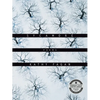 Sycamore: Poems - Paperback