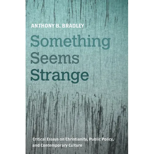 Something Seems Strange: Critical Essays on Christianity, Public Policy, and Contemporary Culture - Paperback