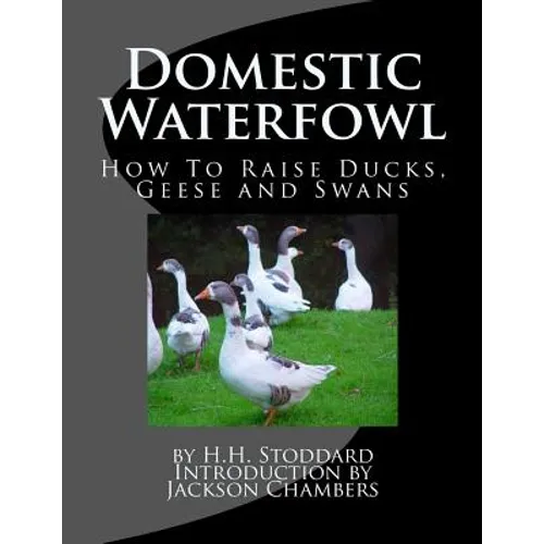 Domestic Waterfowl: How To Raise Ducks, Geese and Swans - Paperback