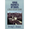 Minor Prophets of Israel: A Self-Study Guide - Paperback