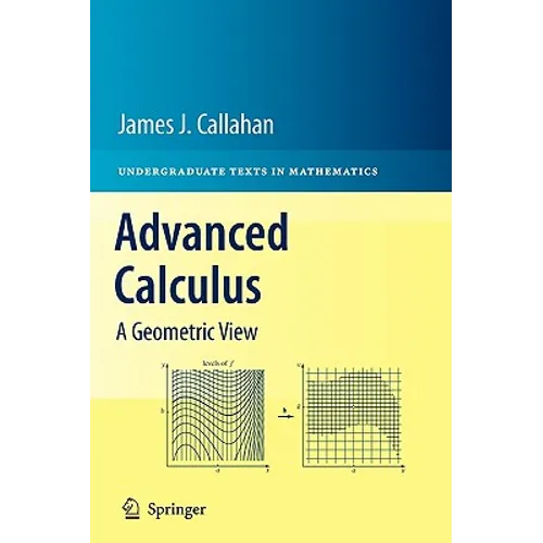 Advanced Calculus: A Geometric View - Hardcover