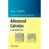 Advanced Calculus: A Geometric View - Hardcover