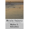 Brain Injury: Living a Productive Life After a Stroke or Traumatic Brain Injury - Paperback