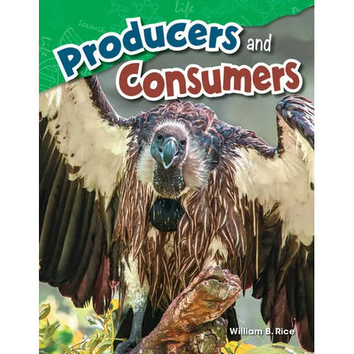 Producers and Consumers - Paperback