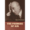 The Promise of Air - Paperback