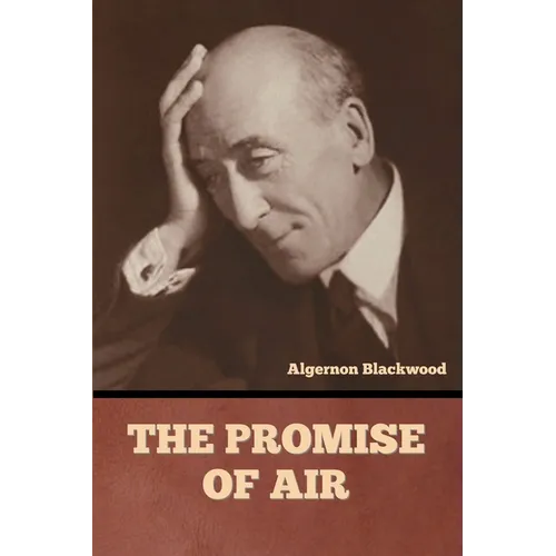 The Promise of Air - Paperback