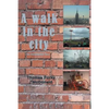 A Walk in the City: An Incomplete Tour - Paperback