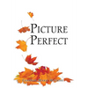 Picture Perfect - Hardcover
