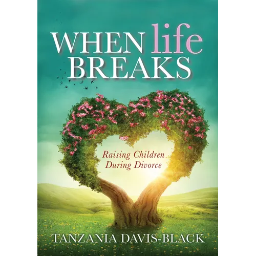 When Life Breaks: Raising Children During Divorce - Paperback