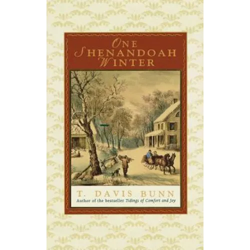 The One Shenandoah Winter - Paperback