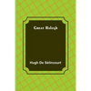 Great Ralegh - Paperback