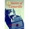 Saints of Camarillo: Inside California's Infamous State Hospital - Paperback