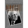 Winnicott - Paperback