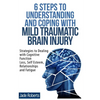 6 Steps to Understanding and Coping with Mild Traumatic Brain Injury: Strategies to dealing with Cognitive Function Loss, Self Esteem, Relationships a - Paperback