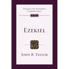 Ezekiel: An Introduction and Commentary - Paperback