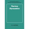 Vortex Dynamics - Paperback