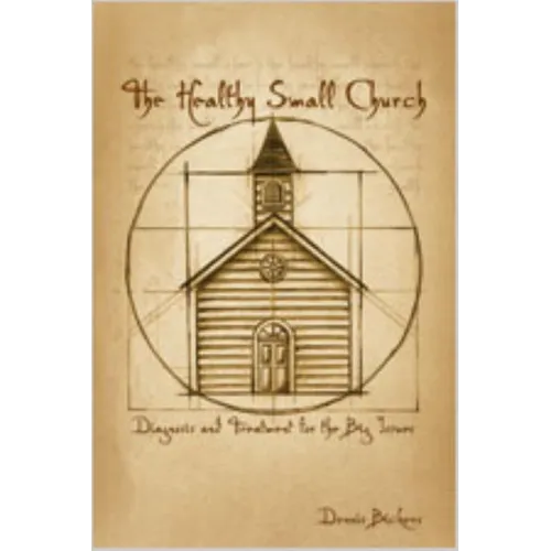 The Healthy Small Church: Diagnosis and Treatment for the Big Issues - Paperback