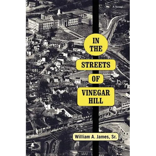 In The Streets Of Vinegar Hill - Paperback