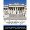 Street Gangs and Interventions: Innovative Problem Solving with Network Analysis - Paperback