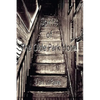 Spirits of The Olde Park Hotel - Paperback