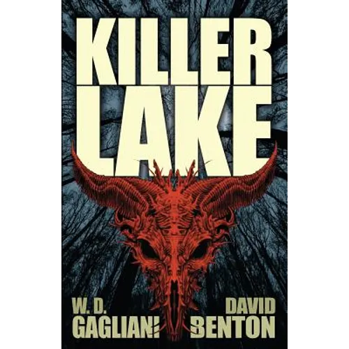 Killer Lake - Paperback