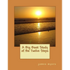 A Big Book Study of the Twelve Steps - Paperback