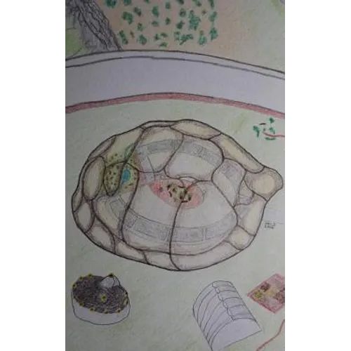 The Turtle Test - Paperback