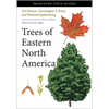 Trees of Eastern North America - Paperback